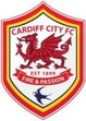 Affiliated to Cardiff City Football Club - Podiatrists / Chiropodists in HEATH Birchgrove